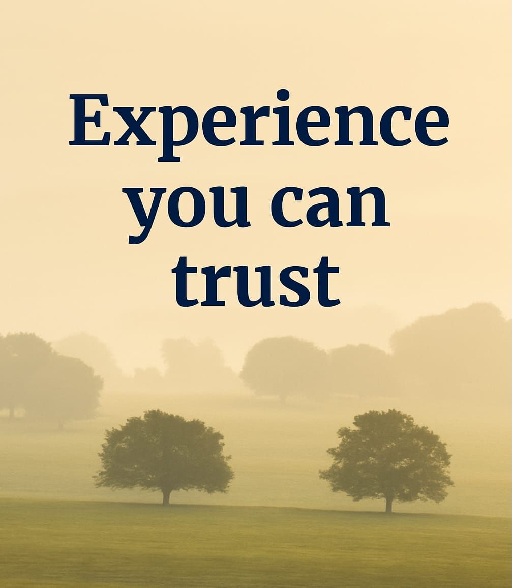 Golden landscape with centred navy text: “Experience you can trust” — The Successful Investor blog image