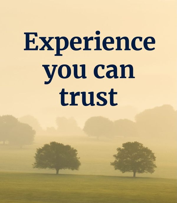 Golden landscape with centred navy text: “Experience you can trust” — The Successful Investor blog image